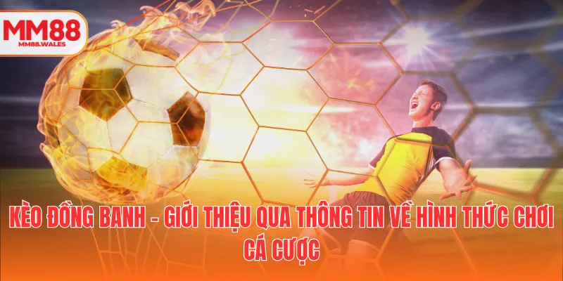 Kèo đồng banh - Giới thiệu qua thông tin về hình thức chơi cá cược